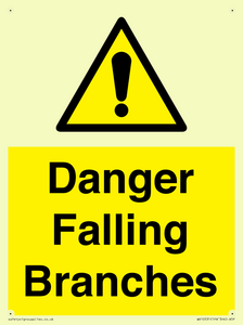 Danger Falling Branches